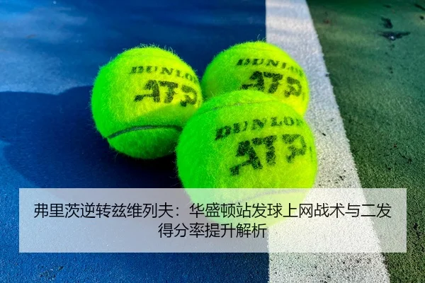 fu-li-ci-ni-zhuan-zi-wei-lie-fu-hua-sheng-dun-zhan-fa-qiu-shang-wang-zhan-shu-yu-er-fa-de-fen-lv-ti-sheng-jie-xi-2-652.jpg